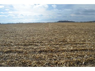 Property photo 28 - LAND AUCTION - 276.5+/- ACRES OFFERED IN 5 TRACTS IN EAST ALLEN COUNTY